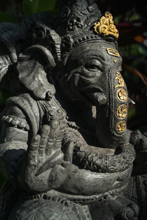 Villa Daksina Ubud Kamer foto